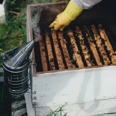 Rum i privatbostad Honey Hill Përmet