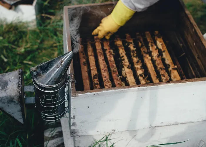 Habitación en casa particular Honey Hill Përmet