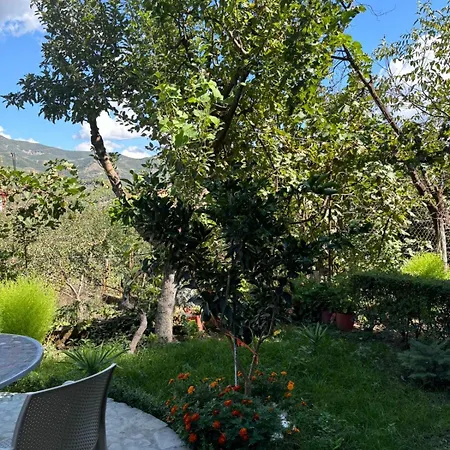 Honey Hill Homestay szállás Përmet