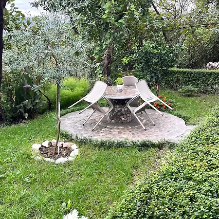 Honey Hill *