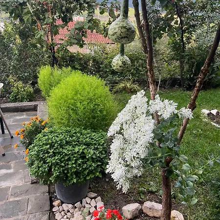 Honey Hill Privatunterkunft