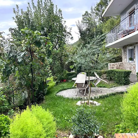 Honey Hill Проживание в семье *